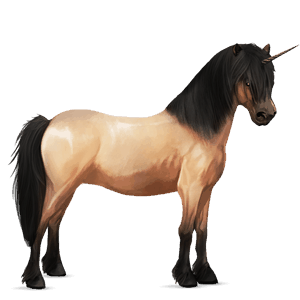 pony-eenhoorn wildkleur