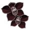 orchidee-noire.png?1828806360