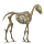 pony skelet