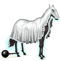 pony geest
