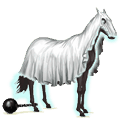 pony-eenhoorn geest