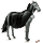 trekpaard-eenhoorn vampier