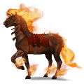 rijpaard bellum