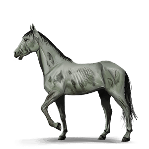 pony-eenhoorn fames