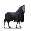 rijpaard mors