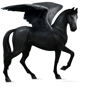 rijpaard-pegasus knabstrupper zwart gevlekte deken 