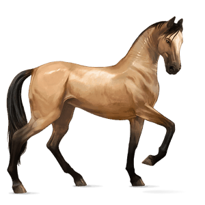 rijpaard lusitano wildkleur