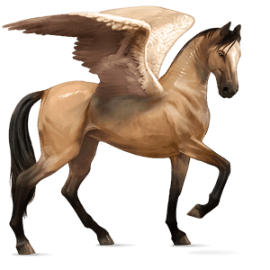 rijpaard-pegasus lusitano wildkleur