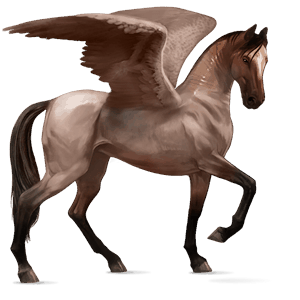 rijpaard-pegasus andalusiër zwart