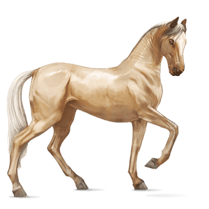 rijpaard lusitano donkerbruin