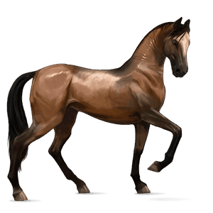 rijpaard lusitano bruin