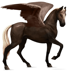 rijpaard-pegasus akhal-teke bruin