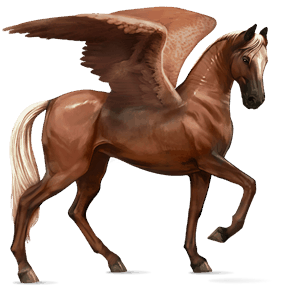 rijpaard-pegasus akhal-teke kastanje