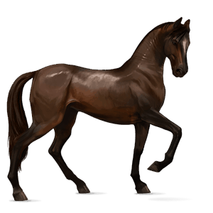 rijpaard lusitano wildkleur