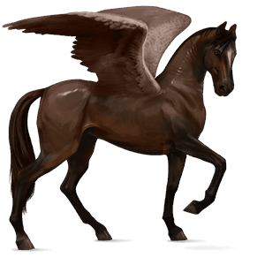rijpaard-pegasus lusitano donkerbruin