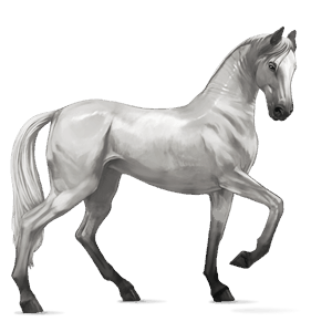 rijpaard lusitano wildkleur