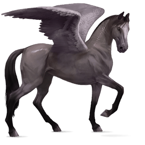 rijpaard-pegasus lusitano cremello