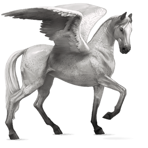 rijpaard-pegasus gestippeld grijs