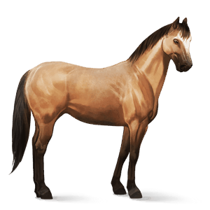 rijpaard lusitano wildkleur