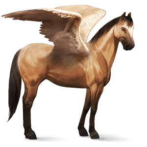 rijpaard-pegasus quarter horse wildkleur