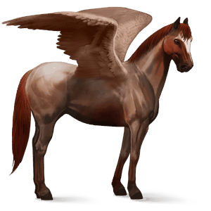 rijpaard-pegasus kastanje overo