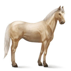 rijpaard lusitano wildkleur