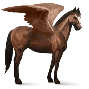 rijpaard-pegasus holsteiner bruin