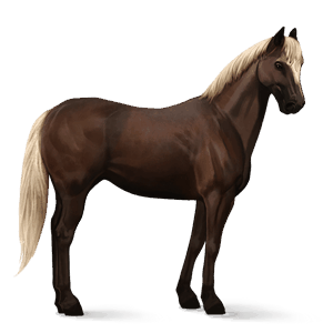 rijpaard lusitano cremello