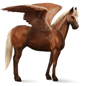 rijpaard-pegasus quarter horse zweetvos kastanje 