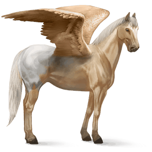rijpaard-pegasus marwari wildkleur tobiano