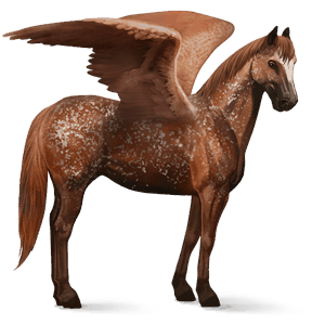 rijpaard-pegasus paint kastanje tobiano