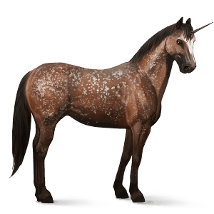 rijpaard-eenhoorn appaloosa zwarte deken 