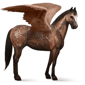 rijpaard-pegasus duits zadelpaard donkerbruin