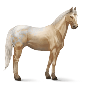 rijpaard lusitano wildkleur