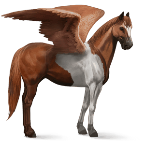 rijpaard-pegasus franse draver zweetvos kastanje 