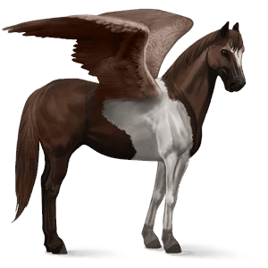 rijpaard-pegasus paint lever kastanje tobiano