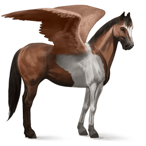 rijpaard-pegasus paint bruine tobiano