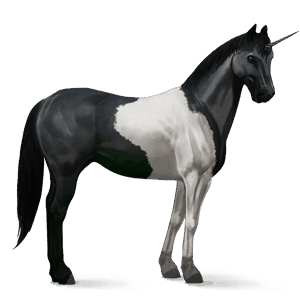 rijpaard-eenhoorn zwarte tobiano