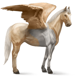 rijpaard-pegasus paint bruine overo