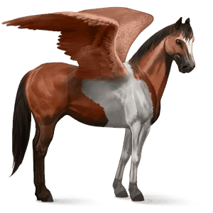 rijpaard-pegasus russische don lever kastanje