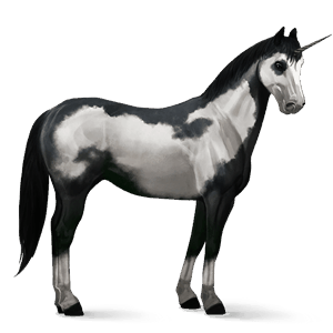 rijpaard-eenhoorn quarter horse zwart