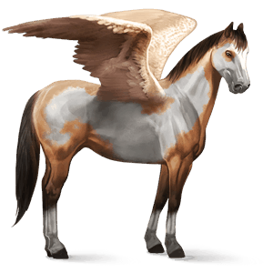 rijpaard-pegasus paint wildkleur overo