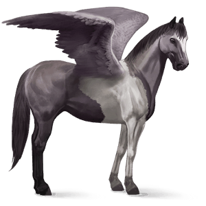 rijpaard-pegasus lusitano bruin