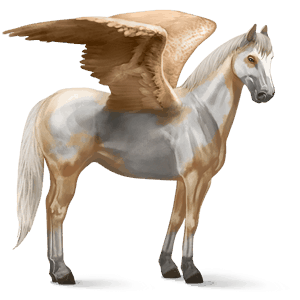 rijpaard-pegasus russische don zweetvos kastanje 