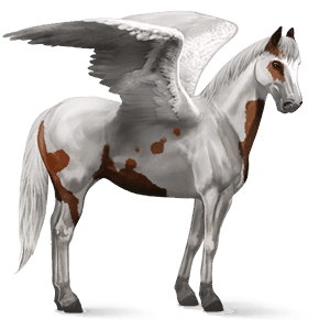 rijpaard-pegasus paint kastanje tovero 