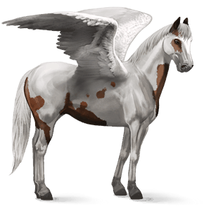 rijpaard-pegasus paint bruine tovero 