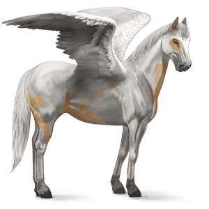 rijpaard-pegasus paint palomino tovero