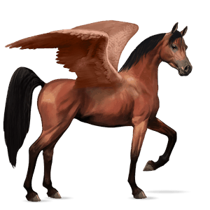 rijpaard-pegasus engelse volbloed roodbruin