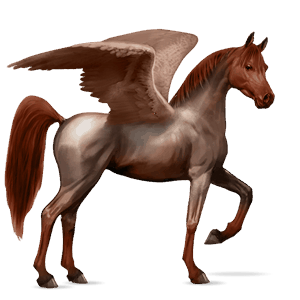 rijpaard-pegasus roodschimmel