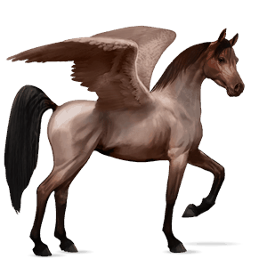 rijpaard-pegasus arabier roan